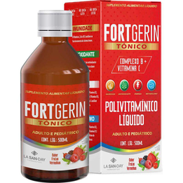 Imagem do produto Fortgerin Tonico 500Ml Frutas Vermelhas
