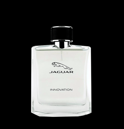 Imagem do produto Perfume Masculino Jaguar Innovation Eau De Toilette 100Ml