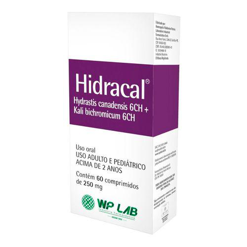 Imagem do produto Hidracal 250Mg Com 60 Comprimidos