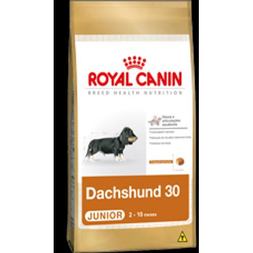 Imagem do produto Ração Royal Canin Dachshund 30 Junior 1Kg
