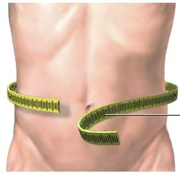 O que é circunferência abdominal?