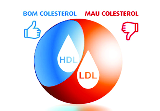 cortisol baixo e colesterol alto