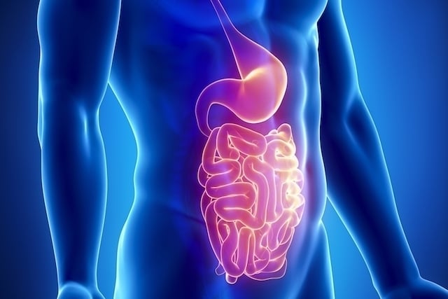 Problemas Gastrointestinais | CliqueFarma