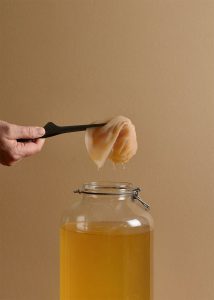 kombucha 1