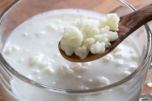 kefir 1