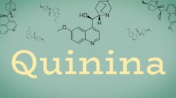quinina 3
