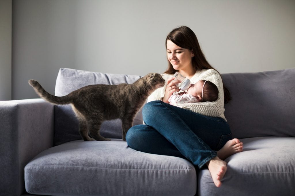 Toxoplasmose: Imagem de Freepik.