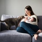 Toxoplasmose: Imagem de Freepik.
