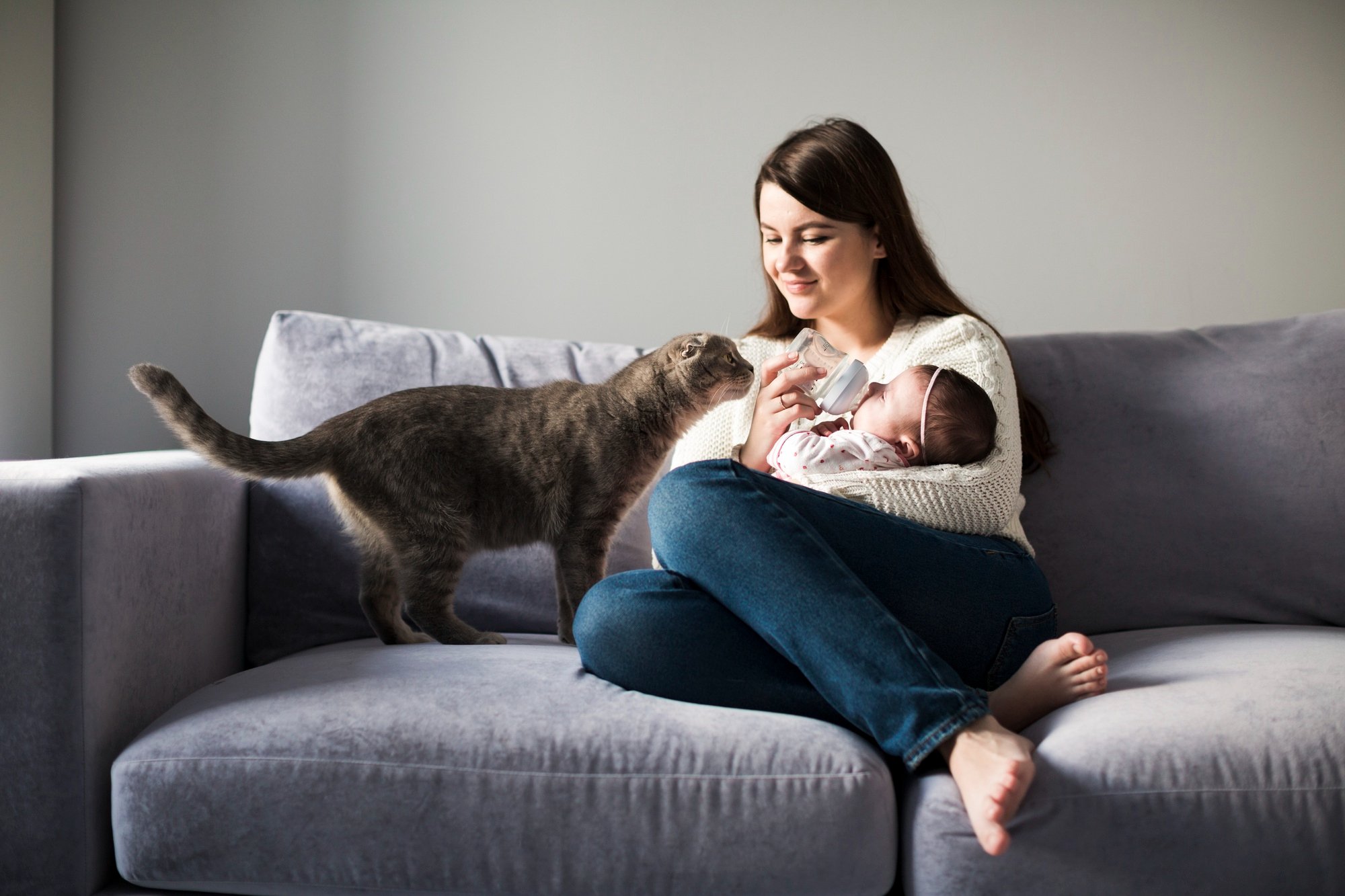 Toxoplasmose: Imagem de Freepik.