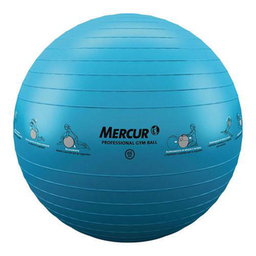 Imagem do produto Bola Cinesioterapia Mercur Bc014165