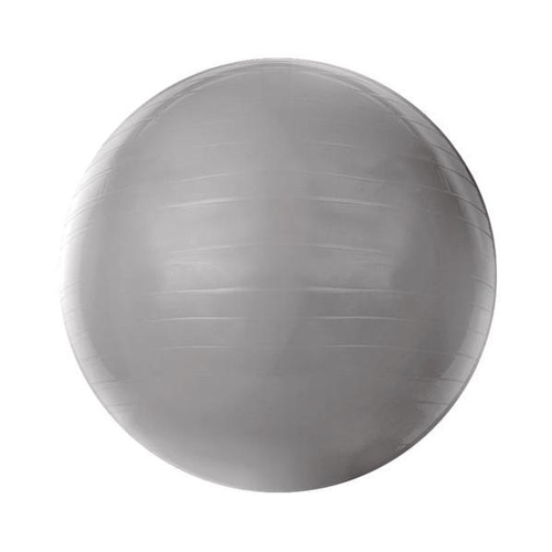 Imagem do produto Bola De Ginastica 55 Cm Cinza T55 Acte
