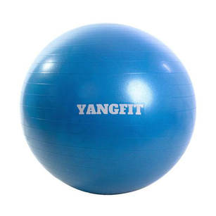 Imagem do produto Bola Pilates Suíça Exercícios Yoga 75Cm Com Bomba Yangfit