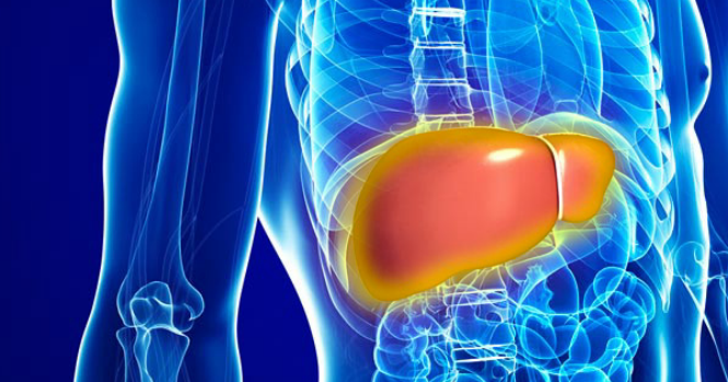 Imagem Complementar do Forfig - 200Mg 20 Comprimidos