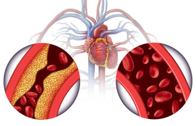 Imagem Complementar do Vazidin - 35mg 60 comprimidos revestidos
