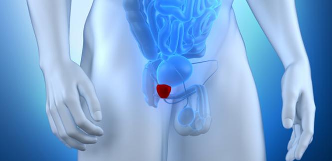 Imagem Complementar do Casodex - 50mg 28 comprimidos