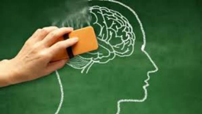 Imagem Complementar do Ginkmed - 80mg 30 comprimidos