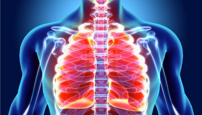 Imagem Complementar do Bamifix - 300mg 20 drágeas