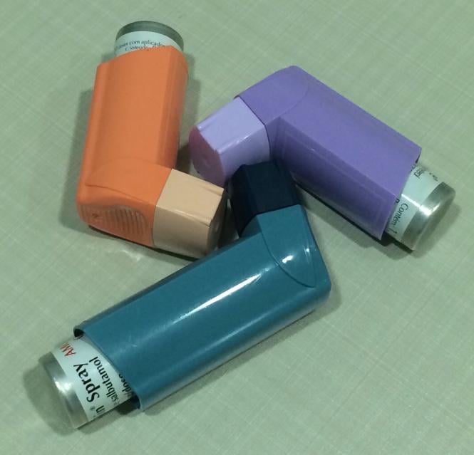 Imagem Complementar do Seretide - 25/125mcg spray 120doses