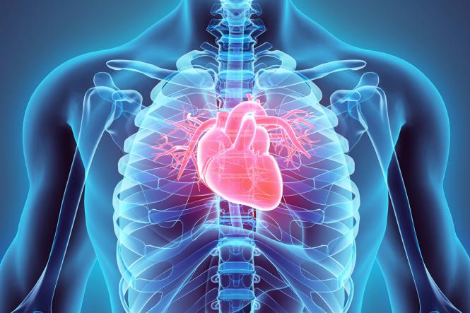 Imagem Complementar do Somalgin - Cardio 200mg 32 comprimidos
