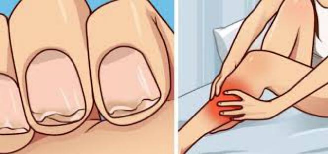 Imagem Complementar do calcitotal 60 comprimidos