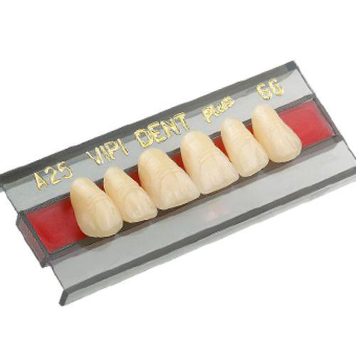 Imagem do produto Dente Vipi Dent Plus Anterior Inferior 266 62 Vipi