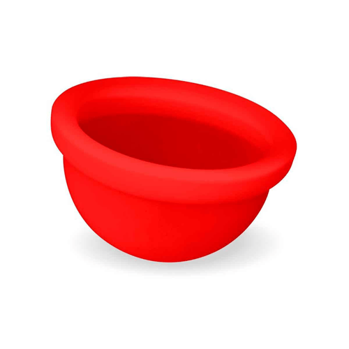 Imagem do produto Disco Menstrual Fleurity Secret 1 Unidade 1 Unidade