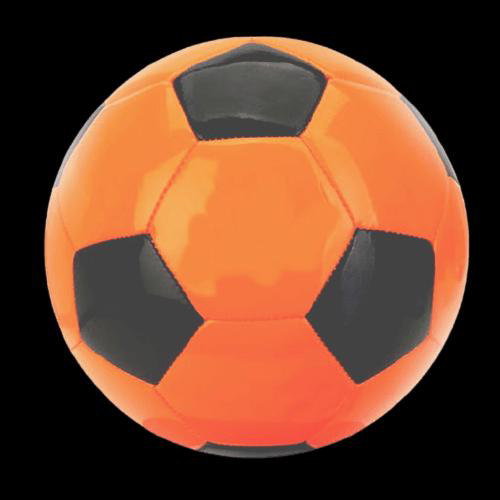 Imagem do produto Esfera Para Fisioterapia Macia Lemat