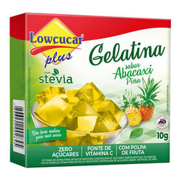Gelatina - Light Abacaxi 11G