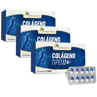 Imagem do produto Kit 3X Colágeno Tipo 2 60 Cápsulas Flora Nativa