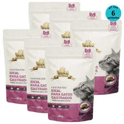 Kit 6 Snacks Hana Healthy Life Castrated P/ Gatos Adultos 60G