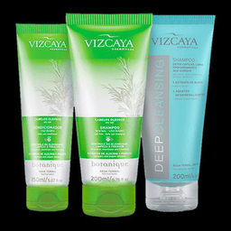 Imagem do produto Kit Shampoo E Condicionador Cabelos Oleosos Vizcaya