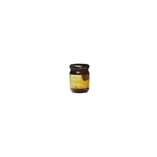 Imagem do produto Mel Puro Bioflora 250G
