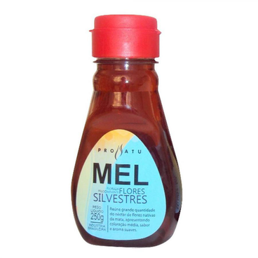 Mel Sabor - Flores Silvestres Pronatu 250G