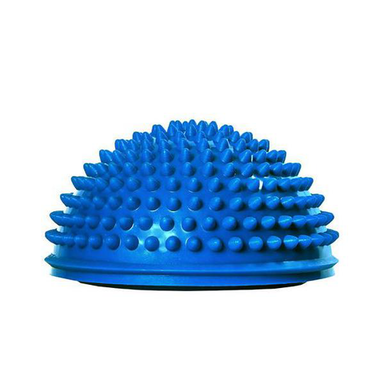 Imagem do produto Mini Bosu T153 Acte