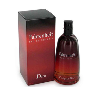 Perfume Fahrenheit Eau De Toilette Dior Masculino 100Ml