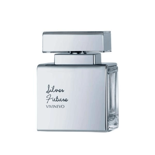 Imagem do produto Perfume Silver Future Lonkoom Vivenedo Edt 100 Ml