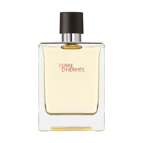 Perfume Terre D'hermès Hermès Masculino Eau De Toilette 50Ml