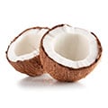 Imagem Complementar da Bula do candida support - 60 cápsulas - para equilibrar nível de levedura de cndida no corpo