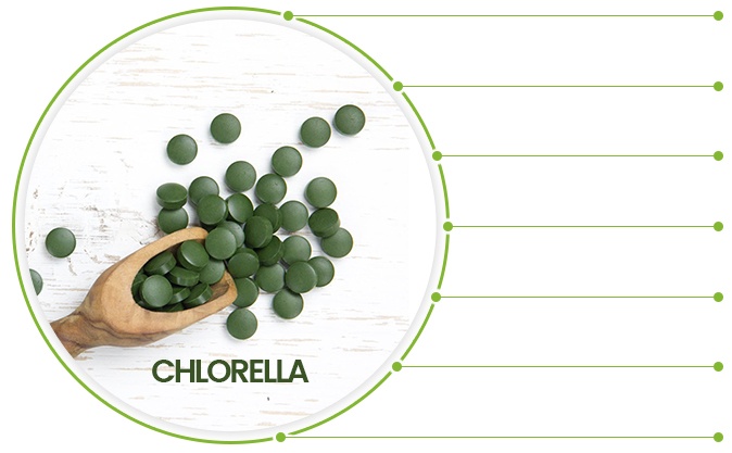 Bula Bio Chlorella Algas 375 Tabletes - Suplemento de Alga Chlorella Pura