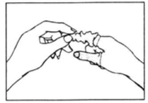Imagem Complementar da Bula do gynotran - 7 ovulos