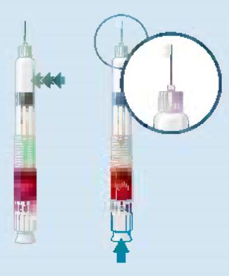 Imagem Complementar da Bula do Gonal f pen 300ui 22mcg 0,5ml novo