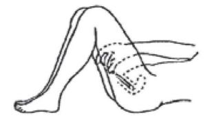 Imagem Complementar da Bula do Colpotrofine - 20 Cápsulas Vaginais