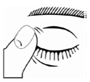 Imagem Complementar da Bula do Maleato de timolol - 0,5% 5ml germed genérico