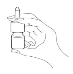 Imagem Complementar da Bula do Budesonida - 64 mcg suspensão spray de uso nasal frasco 120 acion ems genérico