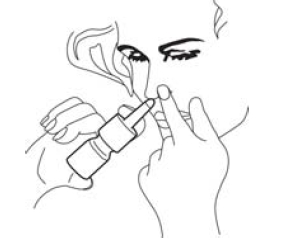 Imagem Complementar da Bula do Budesonida - 64 mcg suspensão spray de uso nasal frasco 120 acion ems genérico