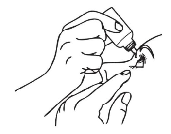 Imagem Complementar da Bula do Lacrifilm - Colírio com 10 ml