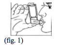 Imagem Complementar da Bula do Berotec - 100mcg aero 10ml