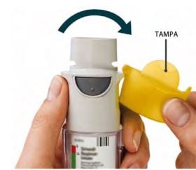 Imagem Complementar da Bula do Striverdi 2,5 mcg solução 4ml e respimat