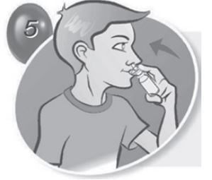 Imagem Complementar da Bula do Plurair - 50mcg 60doses