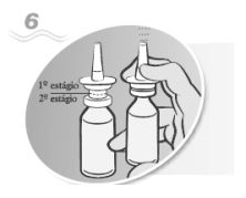 Imagem Complementar da Bula do salsep - 50ml spray